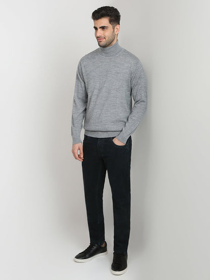 Colorplus Men Grey Solid Regular Fit Wool Blend Full Sleeve V Neck Collar Sweater