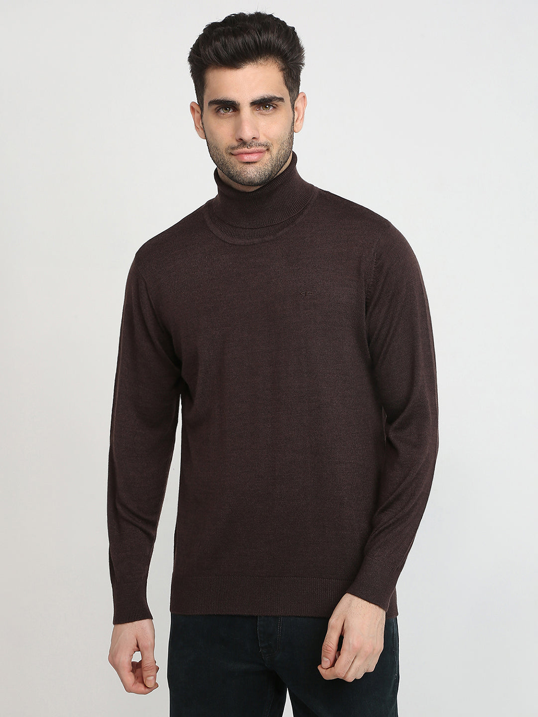 Colorplus Men Brown Solid Regular Fit Wool Blend Full Sleeve V Neck Collar Sweater