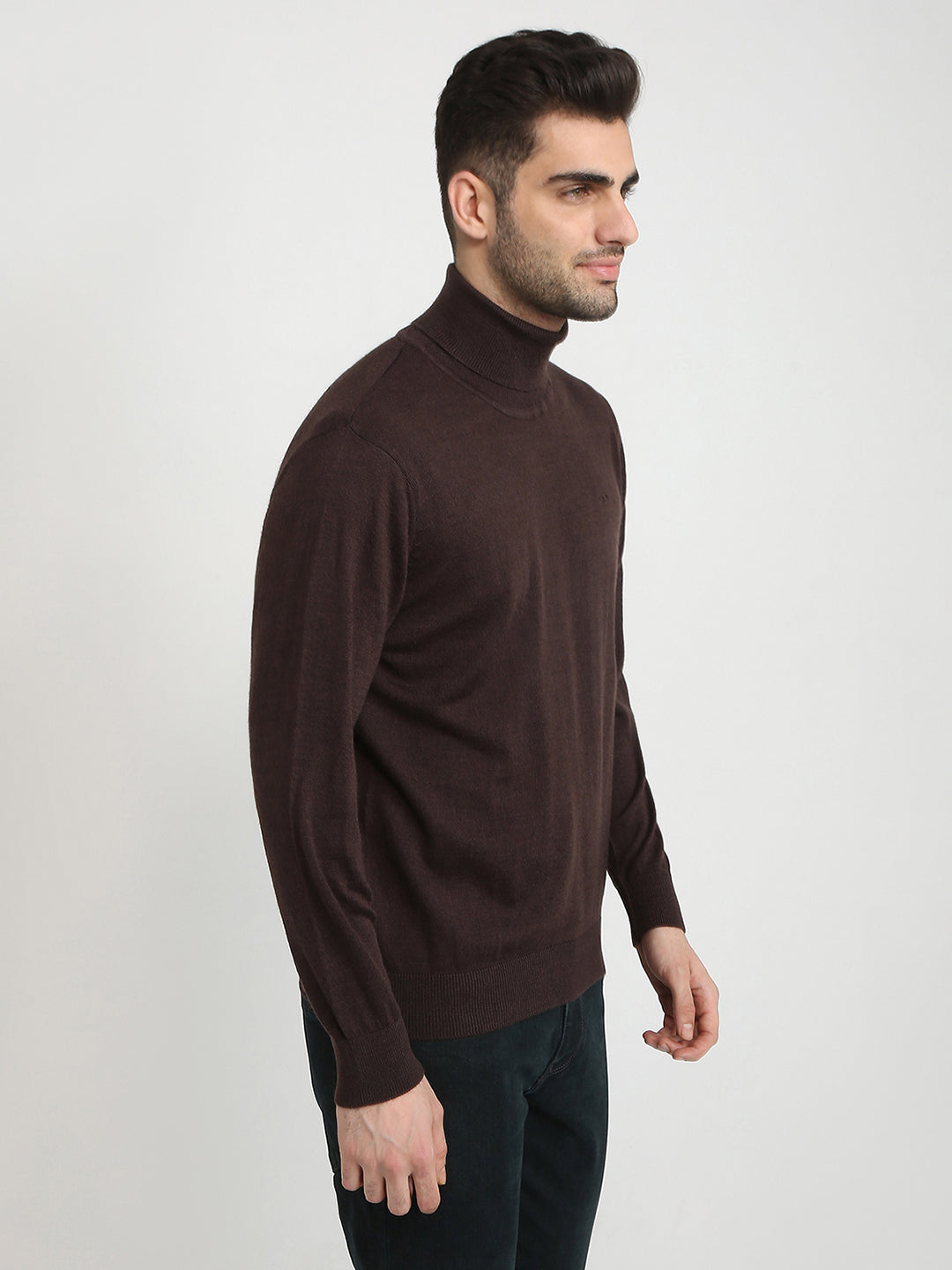Colorplus Men Brown Solid Regular Fit Wool Blend Full Sleeve V Neck Collar Sweater