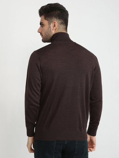 Colorplus Men Brown Solid Regular Fit Wool Blend Full Sleeve V Neck Collar Sweater
