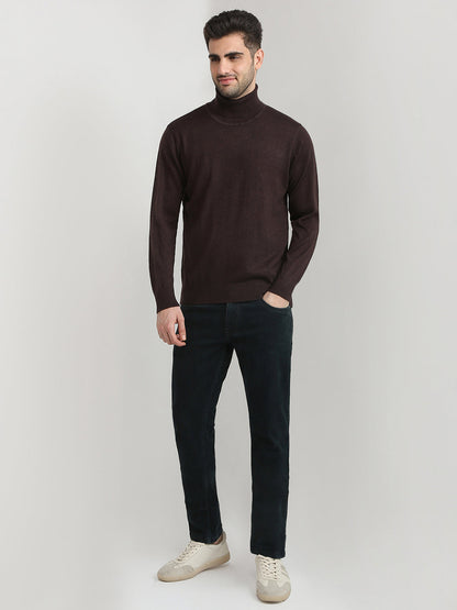 Colorplus Men Brown Solid Regular Fit Wool Blend Full Sleeve V Neck Collar Sweater