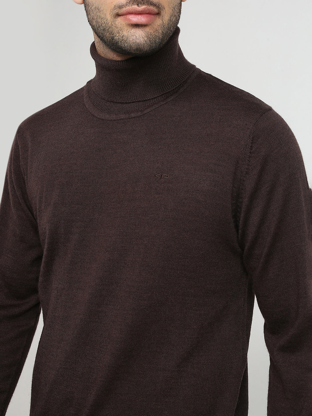 Colorplus Men Brown Solid Regular Fit Wool Blend Full Sleeve V Neck Collar Sweater
