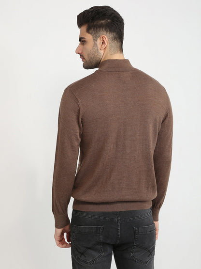 Colorplus Men Brown Solid Regular Fit Wool Blend Full Sleeve V Neck Collar Sweater