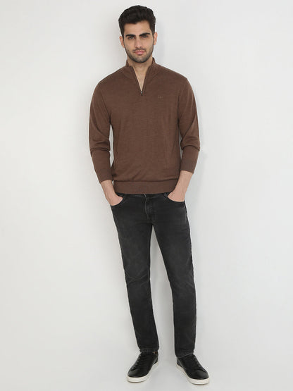 Colorplus Men Brown Solid Regular Fit Wool Blend Full Sleeve V Neck Collar Sweater