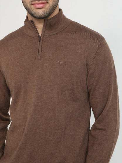 Colorplus Men Brown Solid Regular Fit Wool Blend Full Sleeve V Neck Collar Sweater