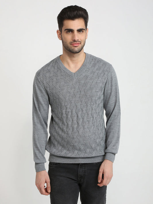 Colorplus Men Grey Solid Regular Fit Wool Blend Full Sleeve V Neck Collar Sweater