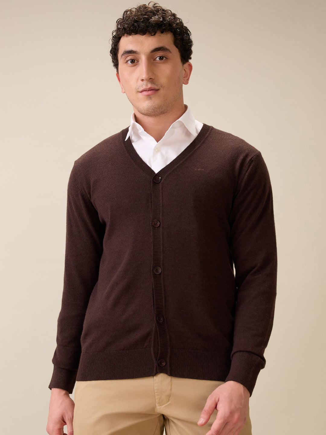 Colorplus Men Brown Plain Regular Fit Wool Blend Full Sleeve V Neck Collar Sweater