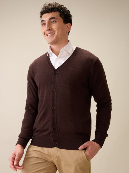 Colorplus Men Brown Plain Regular Fit Wool Blend Full Sleeve V Neck Collar Sweater