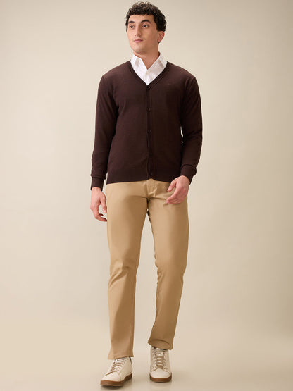 Colorplus Men Brown Plain Regular Fit Wool Blend Full Sleeve V Neck Collar Sweater