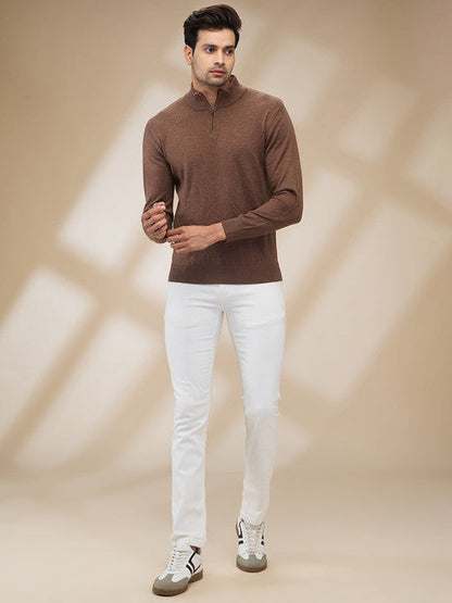 Colorplus Men Brown Plain Regular Fit Wool Blend Sweater