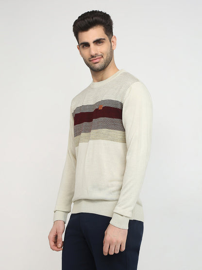 Colorplus Men Brown Jacquard Regular Fit Acrylic Full Sleeve V Neck Collar Sweater