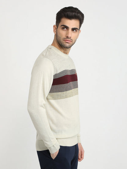 Colorplus Men Brown Jacquard Regular Fit Acrylic Full Sleeve V Neck Collar Sweater