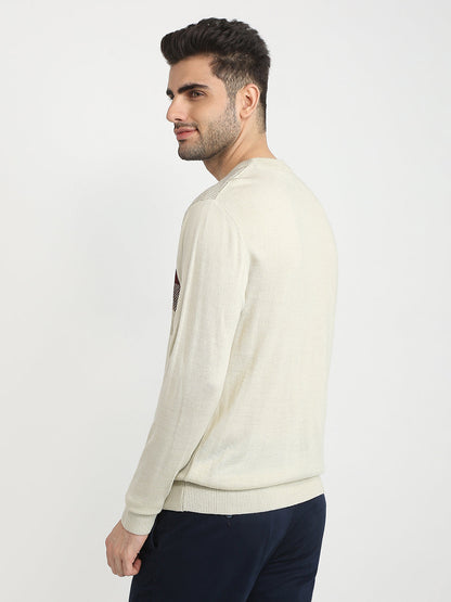 Colorplus Men Brown Jacquard Regular Fit Acrylic Full Sleeve V Neck Collar Sweater