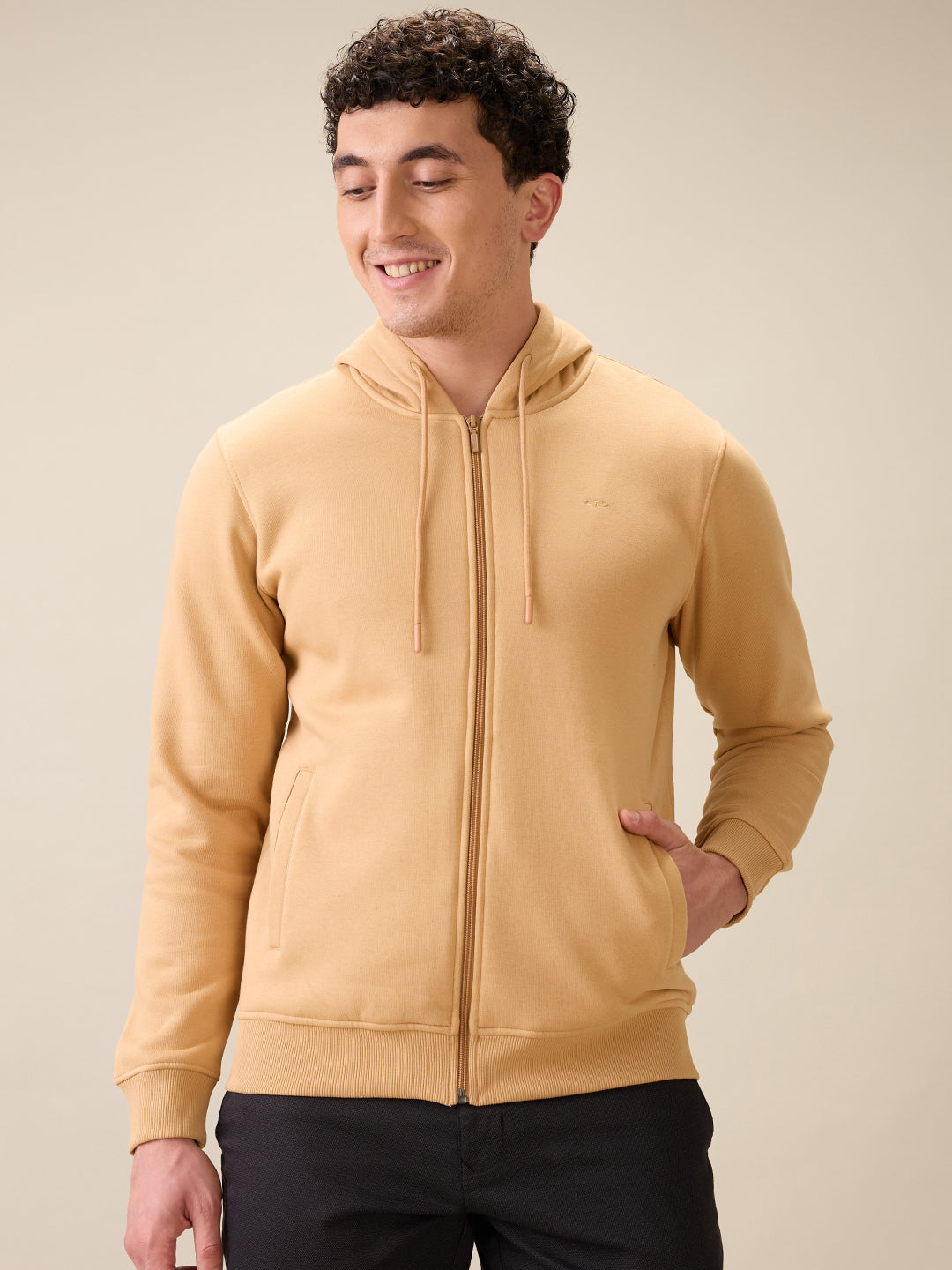 Colorplus Men Brown Solid Regular Fit Cotton Blend Full Sleeve Sweatshirt