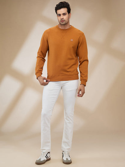 Colorplus Men Brown Solid Regular Fit Polyester Blend Sweatshirt