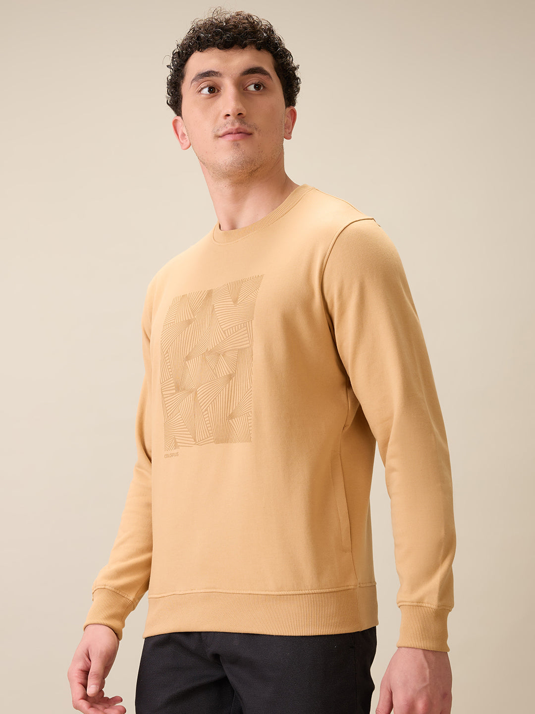 Colorplus Men Brown Printed Regular Fit Cotton Blend Full Sleeve Sweatshirt