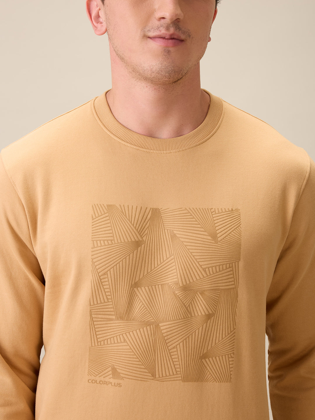Colorplus Men Brown Printed Regular Fit Cotton Blend Full Sleeve Sweatshirt