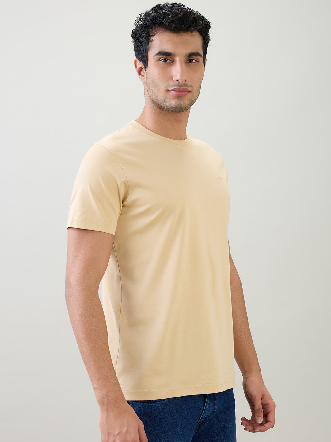 Colorplus Men Brown Solid Regular Fit Cotton Half Sleeve T-Shirt