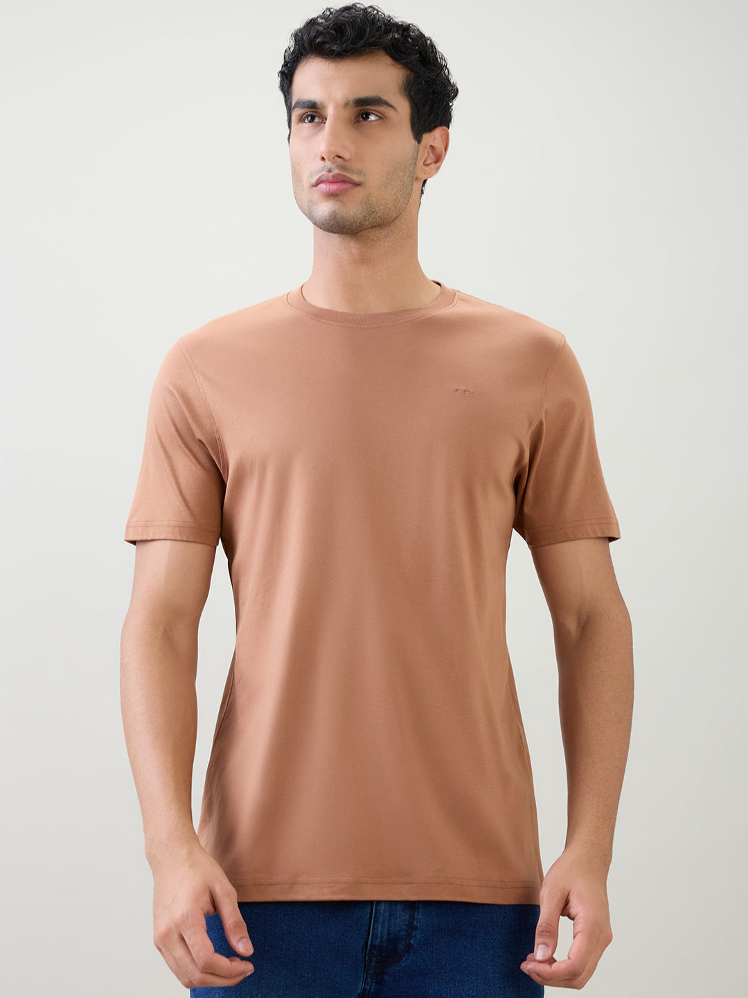 Colorplus Men Brown Solid Regular Fit Cotton Half Sleeve T-Shirt