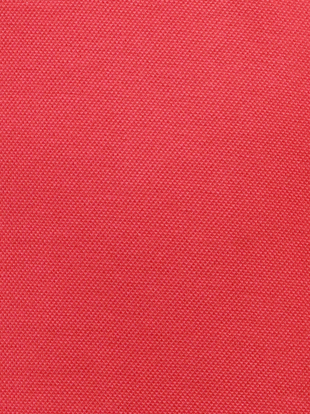 Colorplus Men Red Solid Regular Fit Half Sleeve Polo Neck T-Shirt