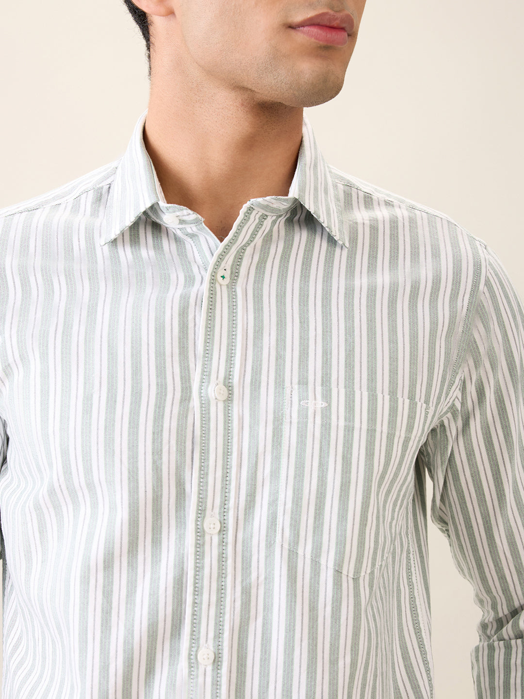Colorplus Men Green Stripe Slim Fit Cotton Casual Shirt
