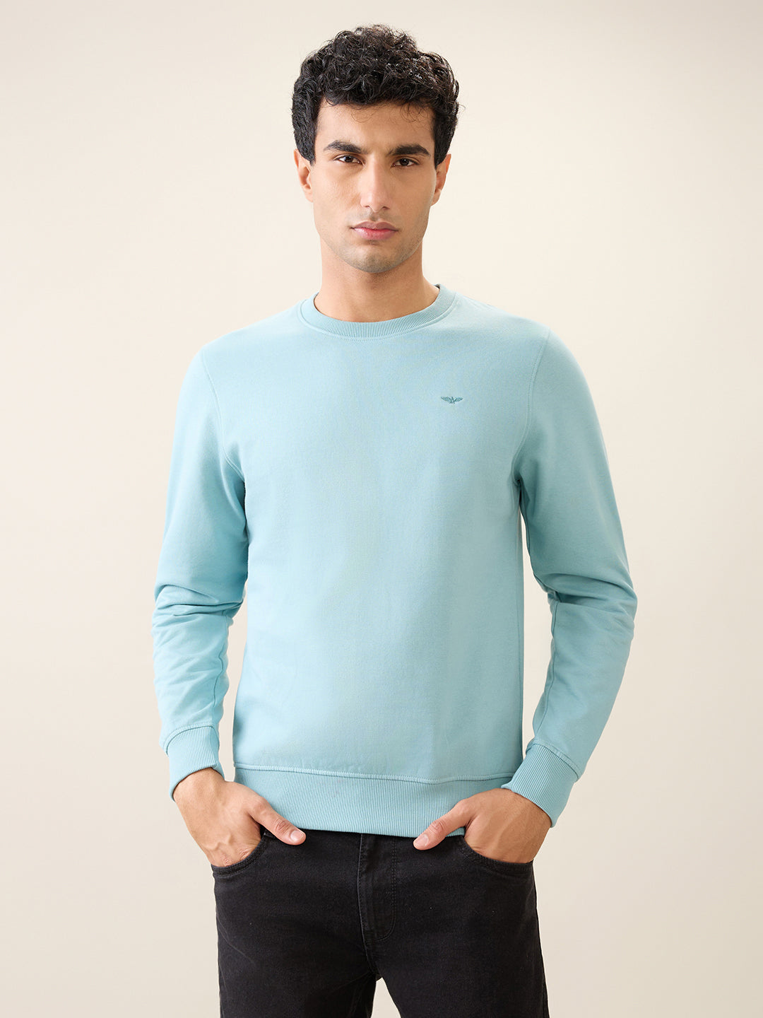 Park Avenue Men Blue Solid Slim Fit Cotton Blend Round Neck Collar Sweatshirt