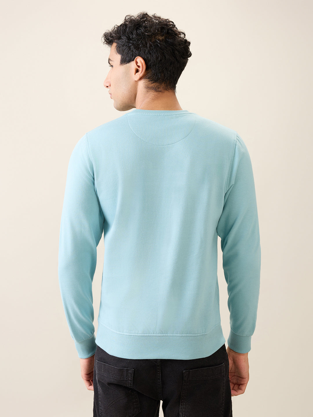 Park Avenue Men Blue Solid Slim Fit Cotton Blend Round Neck Collar Sweatshirt