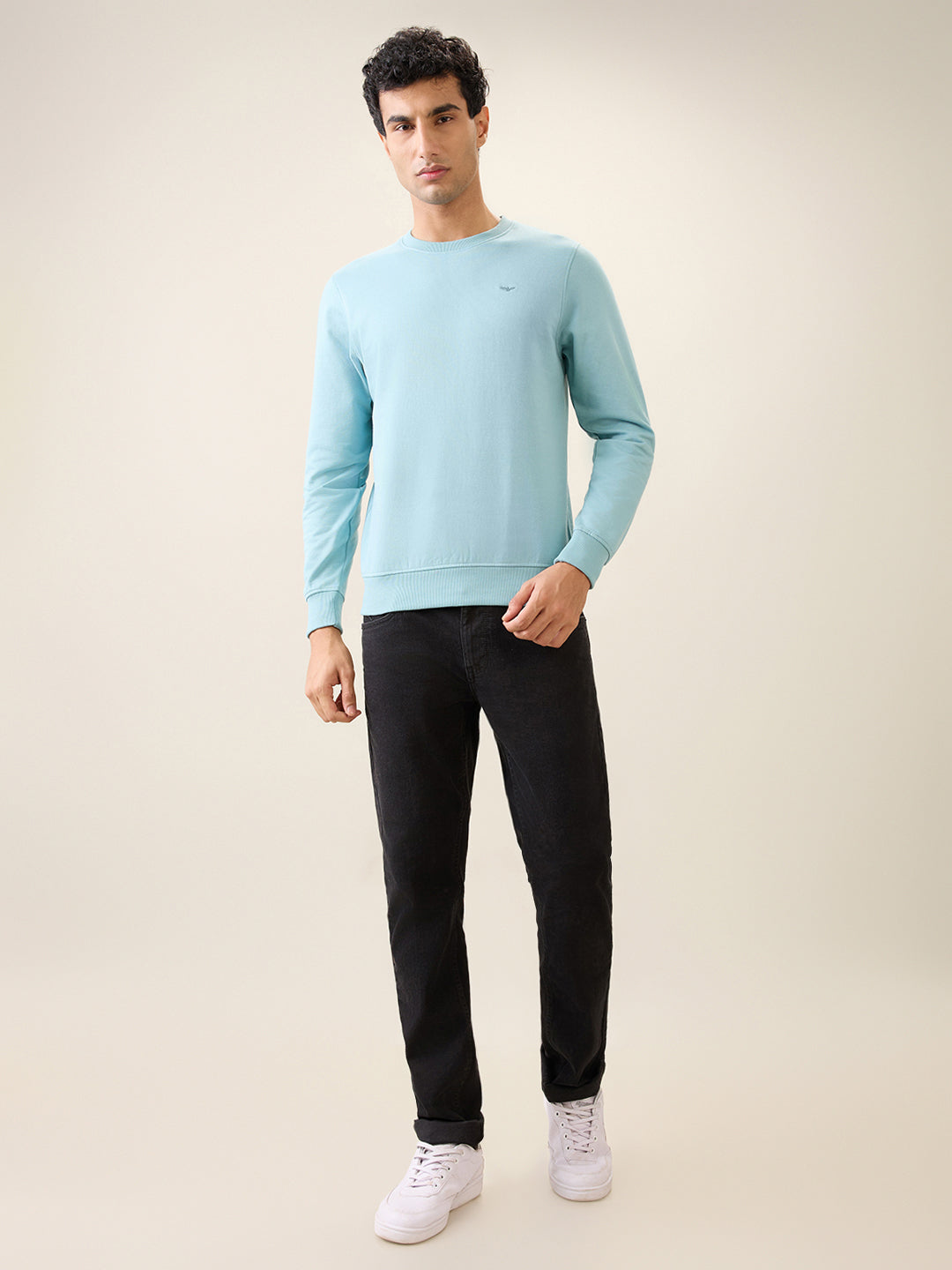 Park Avenue Men Blue Solid Slim Fit Cotton Blend Round Neck Collar Sweatshirt
