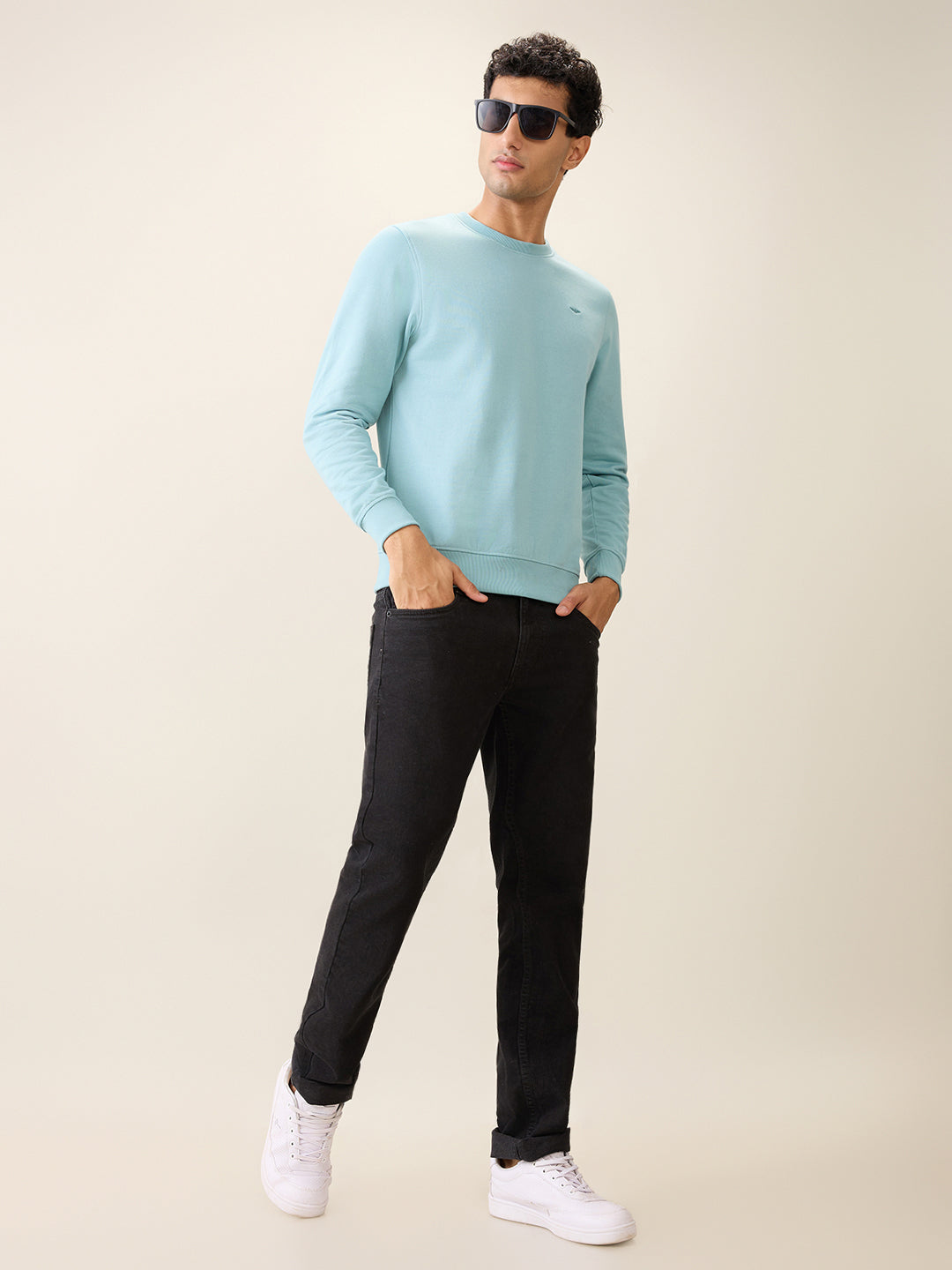 Park Avenue Men Blue Solid Slim Fit Cotton Blend Round Neck Collar Sweatshirt