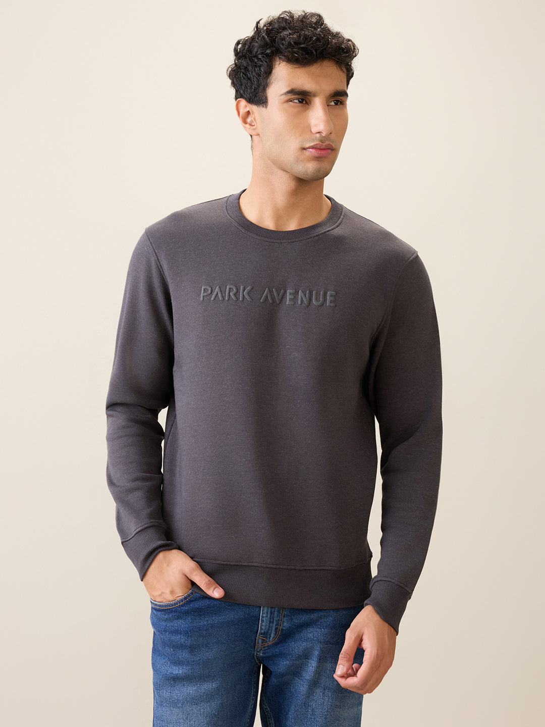 Park Avenue Men Black Solid Slim Fit Cotton Blend Round Neck Collar Sweatshirt