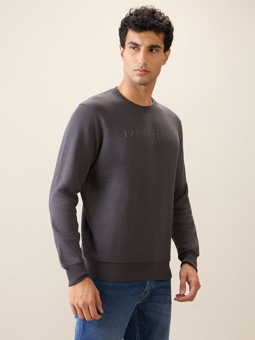 Park Avenue Men Black Solid Slim Fit Cotton Blend Round Neck Collar Sweatshirt