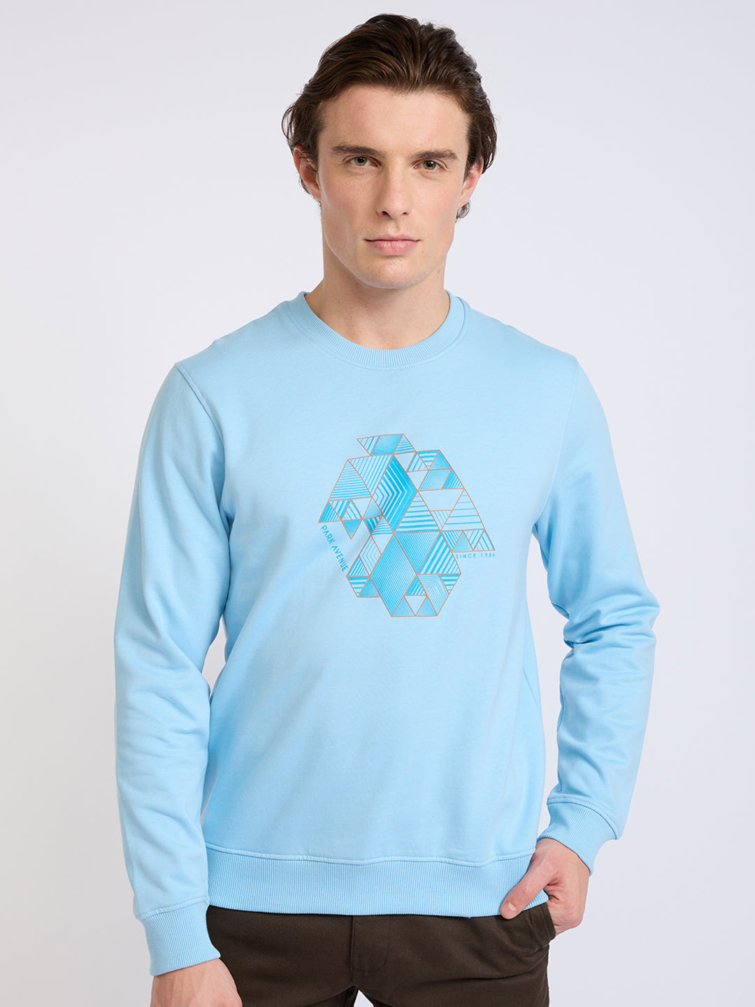 Park Avenue Men Blue Printed Slim Fit Cotton Blend Round Neck Collar Sweatshirt