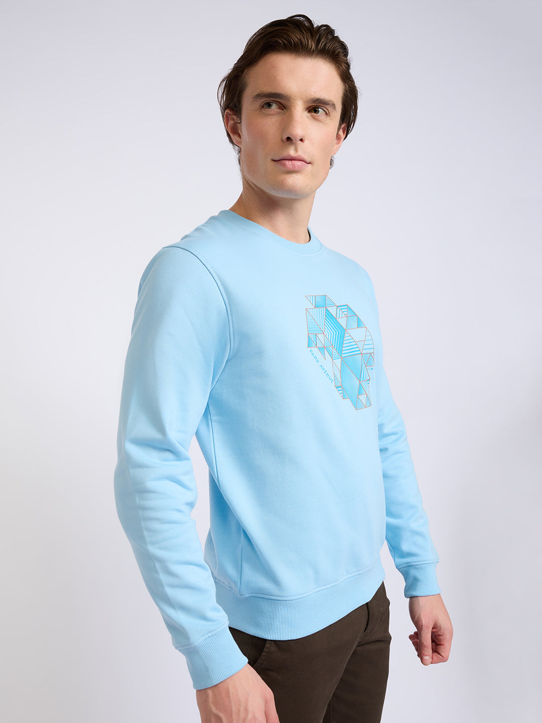 Park Avenue Men Blue Printed Slim Fit Cotton Blend Round Neck Collar Sweatshirt