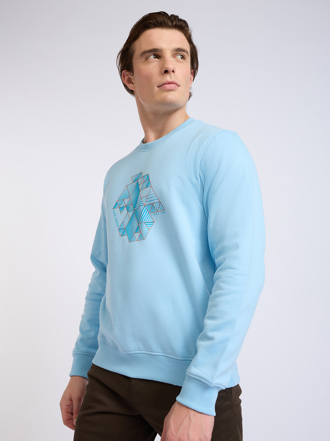 Park Avenue Men Blue Printed Slim Fit Cotton Blend Round Neck Collar Sweatshirt