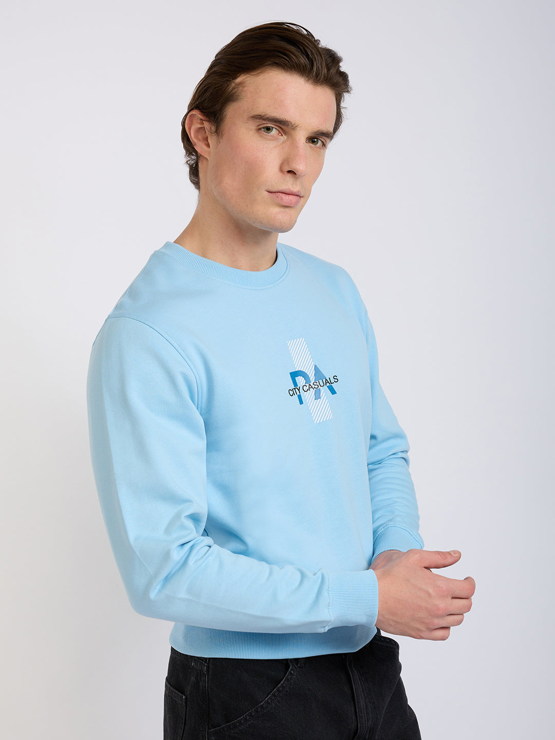 Park Avenue Men Blue Printed Slim Fit Cotton Blend Round Neck Collar Sweatshirt