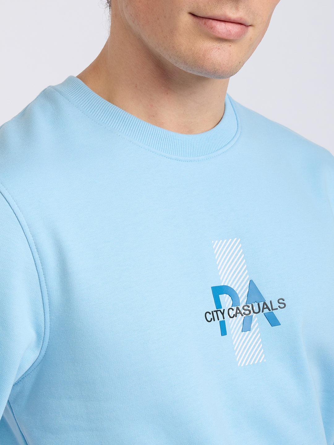 Park Avenue Men Blue Printed Slim Fit Cotton Blend Round Neck Collar Sweatshirt