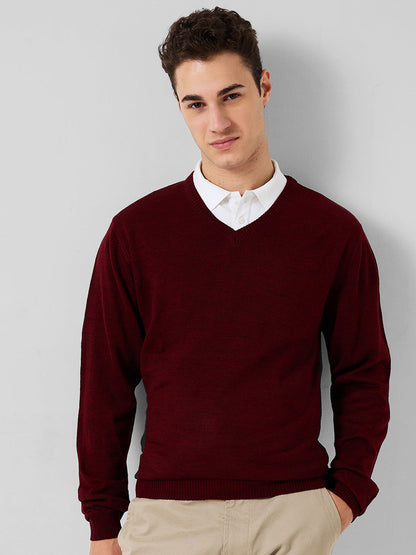 Park Avenue Men Blue Structure Regular Fit Acro Blend Full Sleeve V Neck Collar Sweater