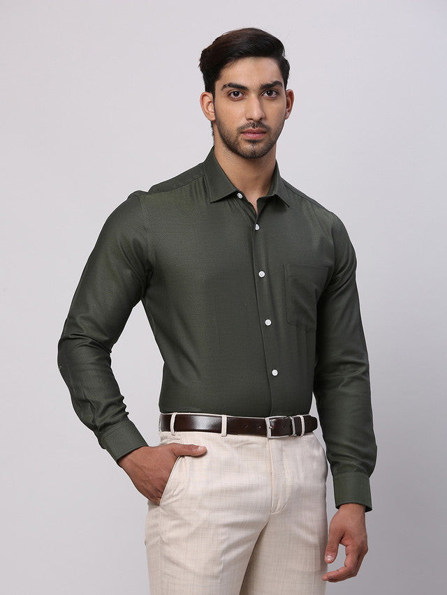 Park Avenue Green Structure Regular Fit Cotton Formal Shirt
