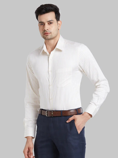 Park Avenue Men Brown Regular Fit Cotton Formal Shirt