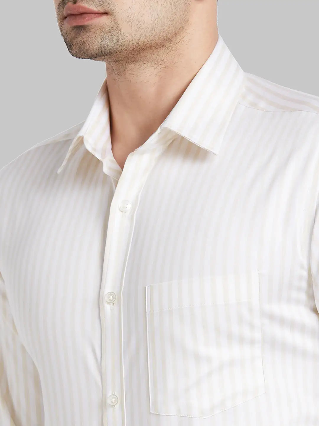 Park Avenue Men Brown Regular Fit Cotton Formal Shirt