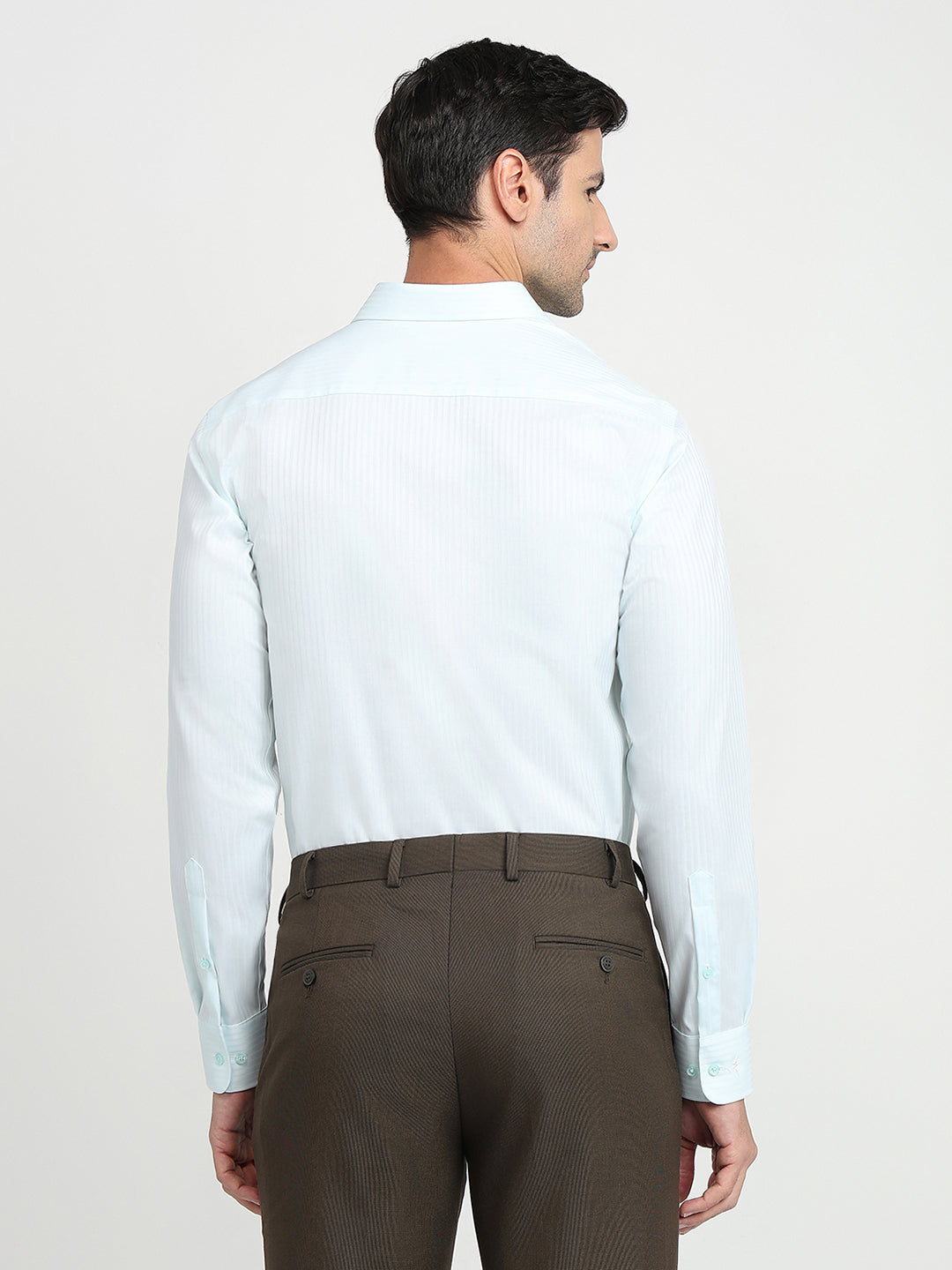 Park Avenue Men Blue Stripe Regular Fit Cotton Full Sleeve Ainsley Collar Formal Shirt