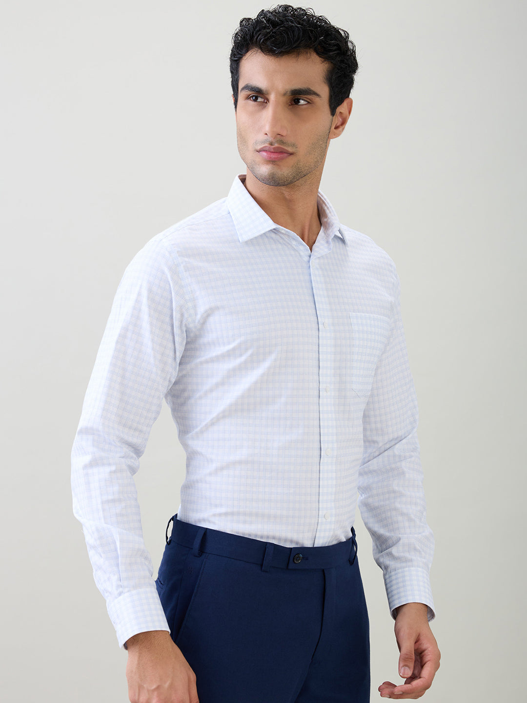 Park Avenue Men Blue Checks Regular Fit Cotton Full Sleeve Formal Shirt