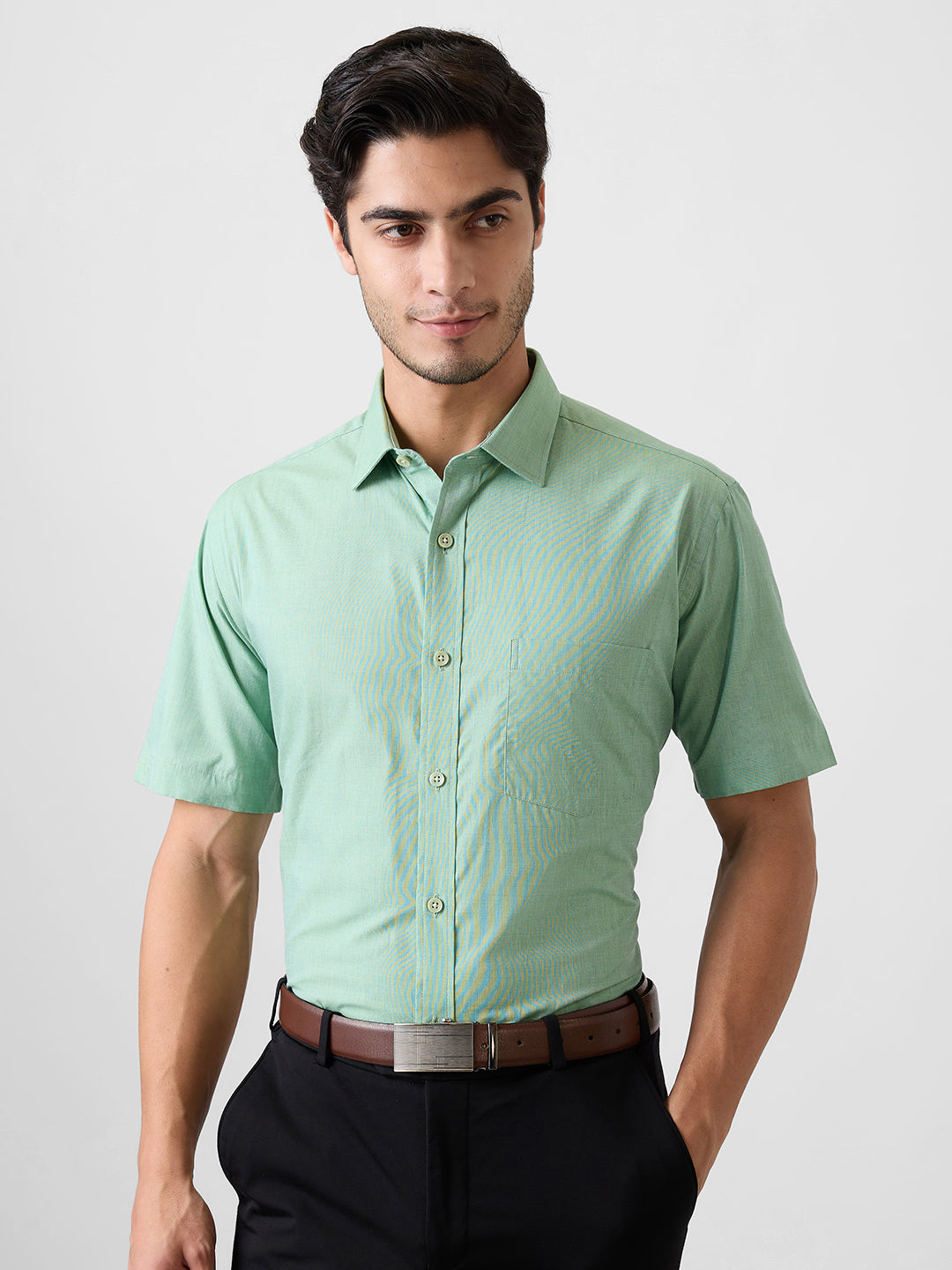 Park Avenue Men Green Fil-A-Fil Regular Fit Cotton Blend Shirt