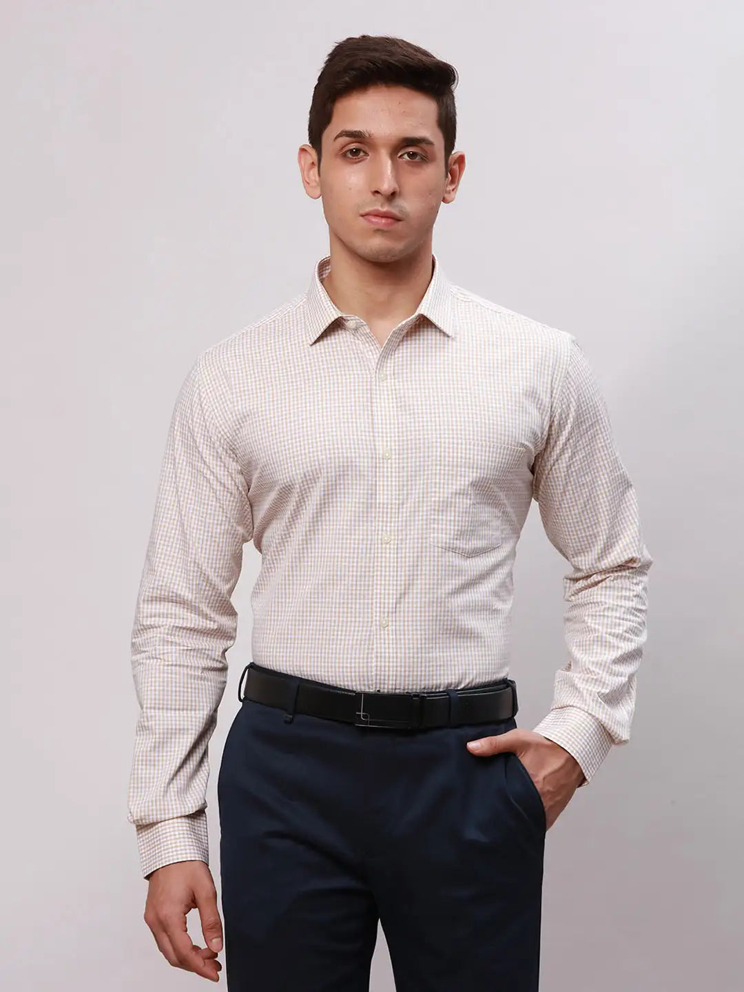 Park Avenue Men Fawn Slim Fit Structure Cotton Shirts