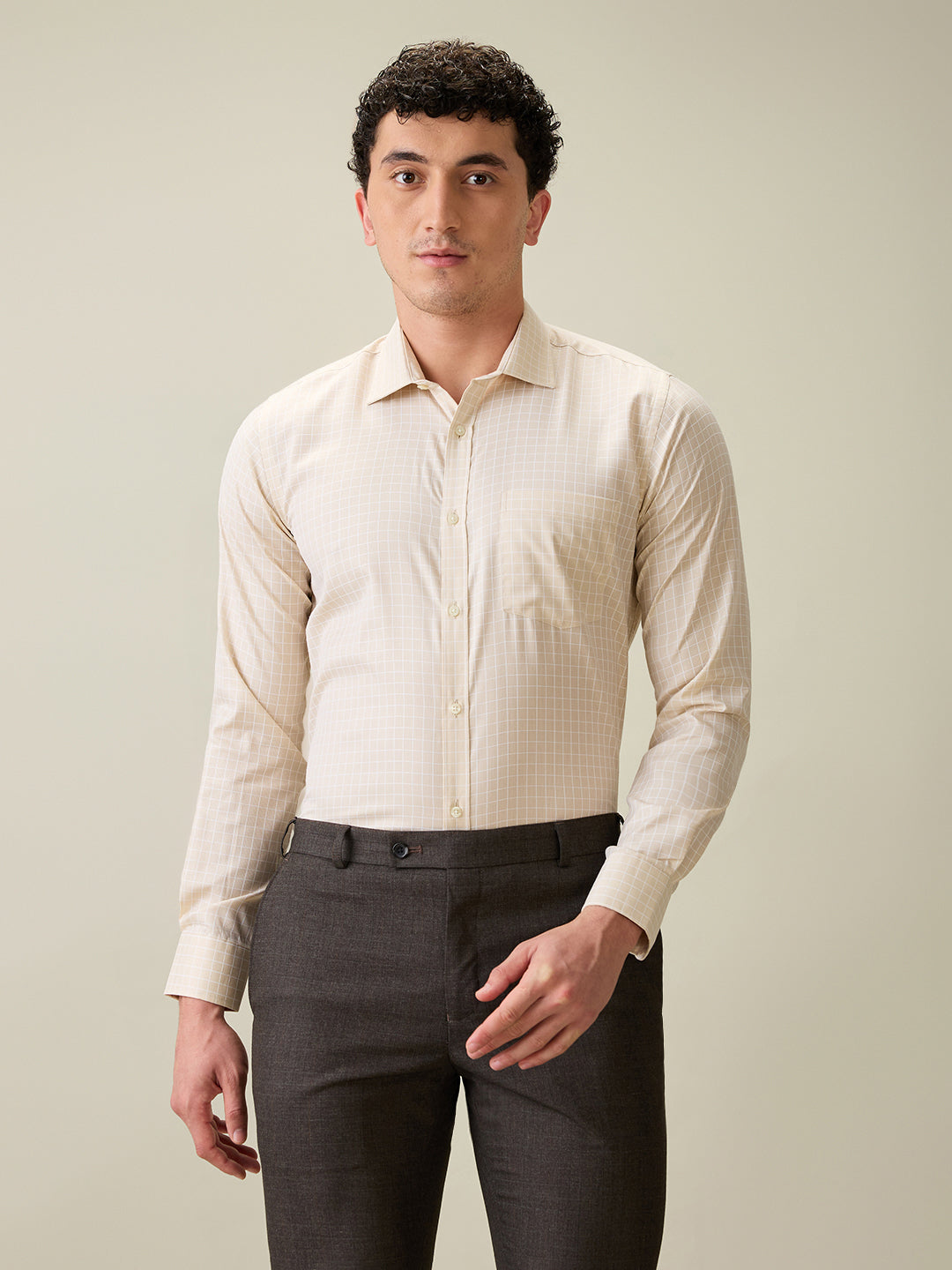 Park Avenue Men Brown Checks Slim Fit Cotton Blend Formal Shirt