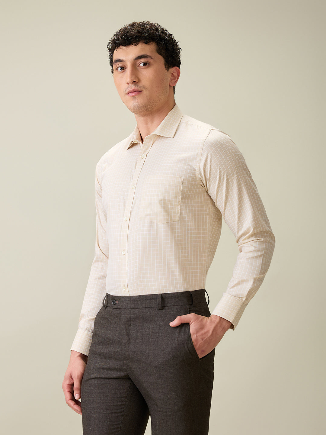 Park Avenue Men Brown Checks Slim Fit Cotton Blend Formal Shirt