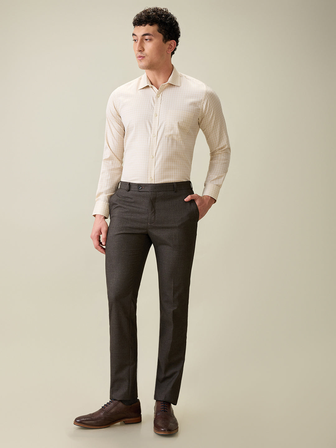 Park Avenue Men Brown Checks Slim Fit Cotton Blend Formal Shirt