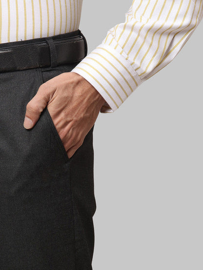 Park Avenue Men Grey Self Design Regular Fit Trouser
