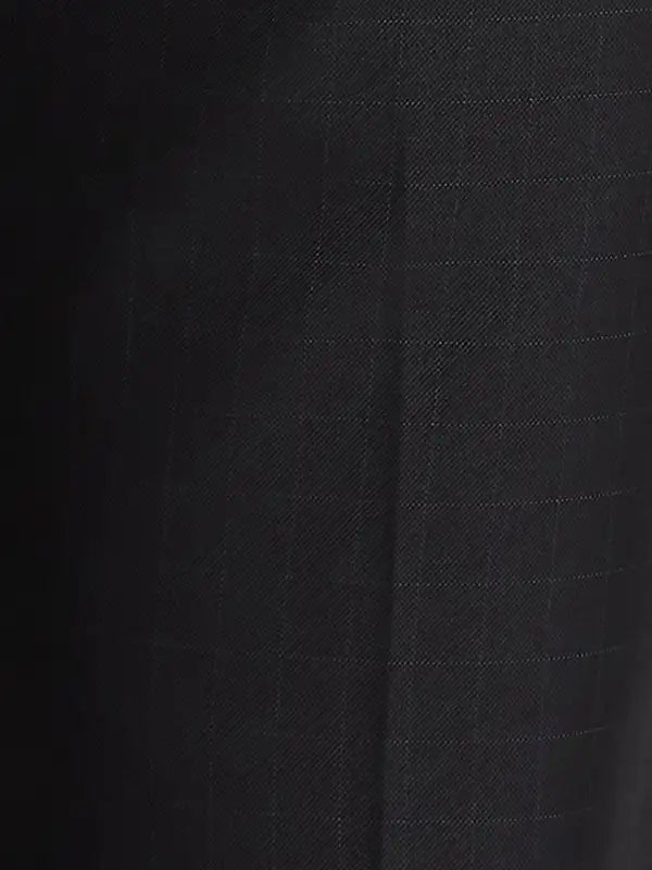 Park Avenue Men Black Smart Fit Checks Polyester Blend Trouser