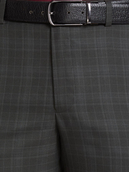 Park Avenue Men Green Checkered Regular Fit Trouser